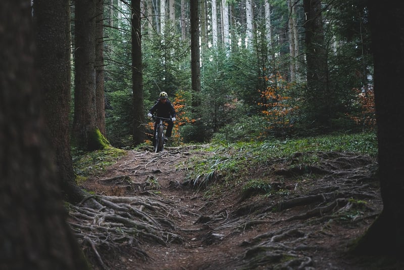 Navigating Trails